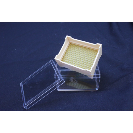 Small plastic comb for comb honey Best Price, shop, shopping