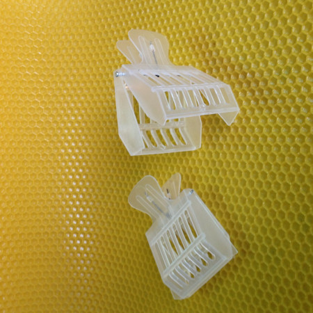 Fangkäfig für Bienenkönigin aus Kunststoff - Plastic Queen