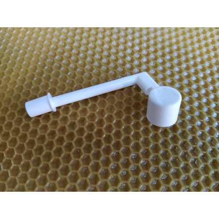 Dispenser (Cannula) for the oral cavity, adjustable, applicable