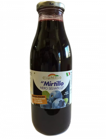 Wild blueberry juice, 500 ml. Best Price, shop, shopping