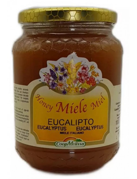 Miele di eucalipto gr. 1000