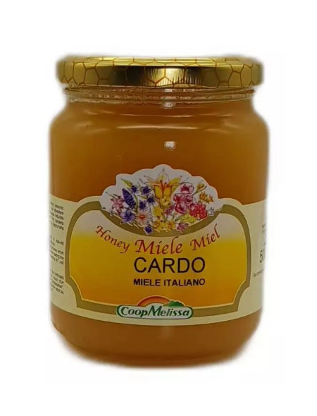Miele di Cardo gr. 500